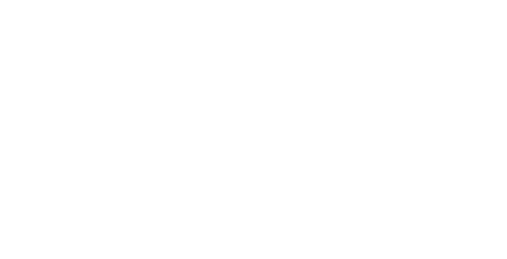 Innovators on a Plane